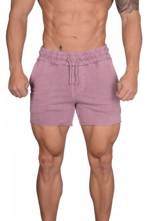 Young LA 102 Bodybuilding French Terry Shorts Purple Canada | EJOK-97850