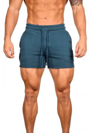 Young LA 102 Bodybuilding French Terry Shorts Teal Canada | PAWM-34279