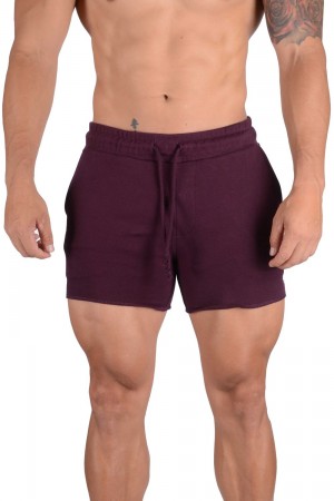 Young LA 102 Bodybuilding French Terry Shorts Purple Canada | IRGP-48095