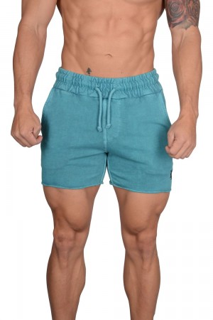 Young LA 102 Bodybuilding French Terry Shorts Aqua Canada | CEPJ-42307