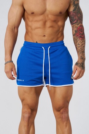 Young LA 1037 - Mesh Bodybuilding Shorts Blue Canada | FSLG-62734