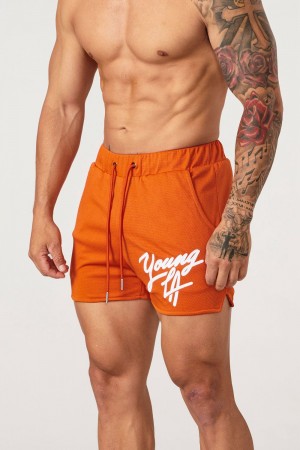 Young LA 104 Legacy Shorts Orange Canada | UHOR-41280