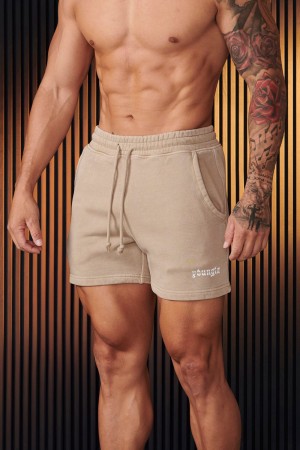 Young LA 107 - Chrome Shorts Beige Canada | TSEI-14053