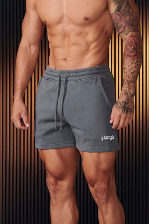 Young LA 107 - Chrome Shorts Grey Canada | STPZ-70815