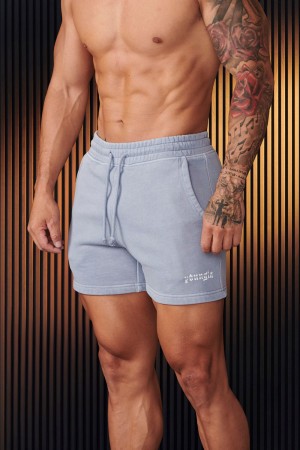 Young LA 107 - Chrome Shorts Light Grey Canada | SEGR-92406