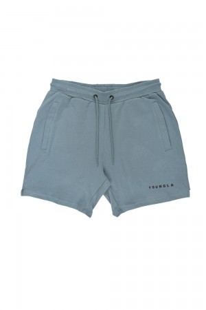 Young LA 118 The Perfect Shorts Blue Canada | XPTB-59714