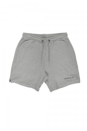 Young LA 118 The Perfect Shorts Light Grey Canada | JKSC-40162