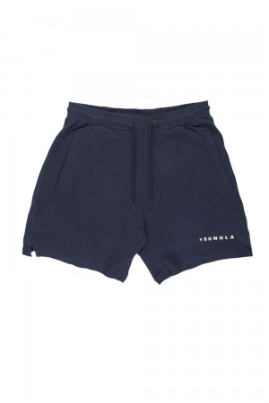 Young LA 118 The Perfect Shorts Navy Canada | DQPE-03247