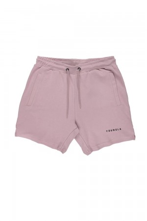 Young LA 118 The Perfect Shorts Purple Canada | EADP-12684