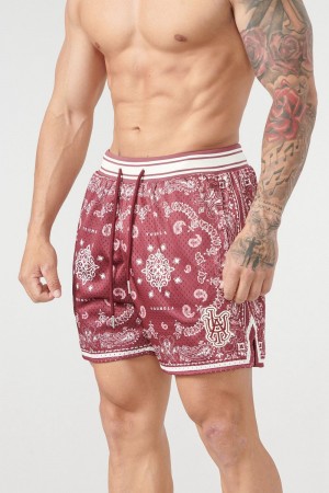 Young LA 132 Infamous Bandana Shorts Burgundy Canada | OLIT-53289