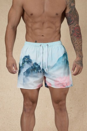 Young LA 135 House Party Shorts Multicolor Canada | QMBU-94613