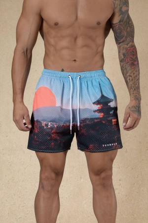 Young LA 135 House Party Shorts Multicolor Canada | DXOZ-43670