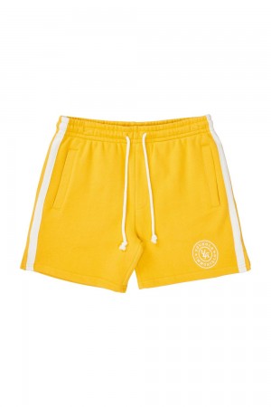 Young LA 137 - Golden Era Bodybuilding Shorts Yellow Canada | JBNR-17346