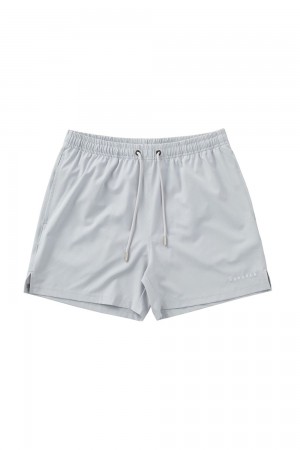 Young LA 140 Frooty Swim Shorts Grey Canada | XMCY-08543