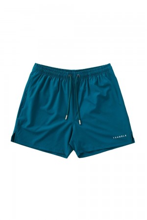 Young LA 140 Frooty Swim Shorts Teal Canada | GCWL-24190