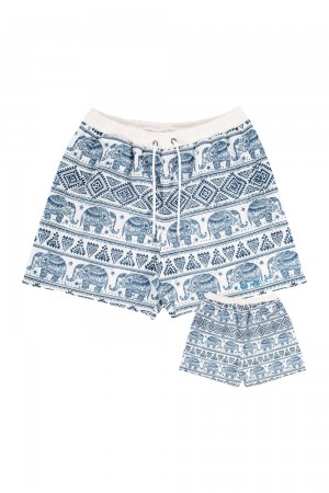 Young LA 150 After Party Shorts Blue Canada | QDKE-80179