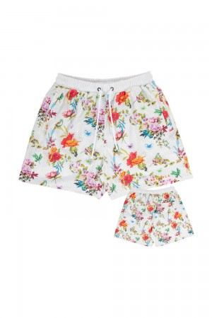 Young LA 150 After Party Shorts Multicolor Canada | OUBH-68194