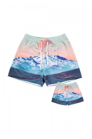 Young LA 150 After Party Shorts Multicolor Canada | OVWR-30258