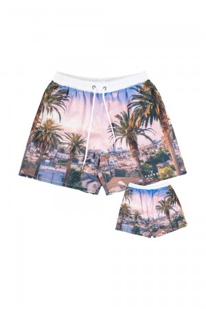 Young LA 150 After Party Shorts Multicolor Canada | TGID-07124