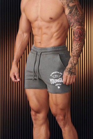 Young LA 152 - Immortal Shorts Grey Canada | WFAP-03269