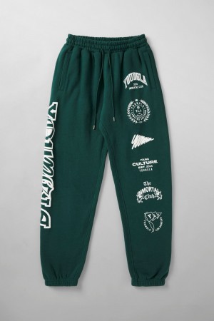 Young LA 204 - Immortal Killer Joggers Teal Canada | ZGJR-42390