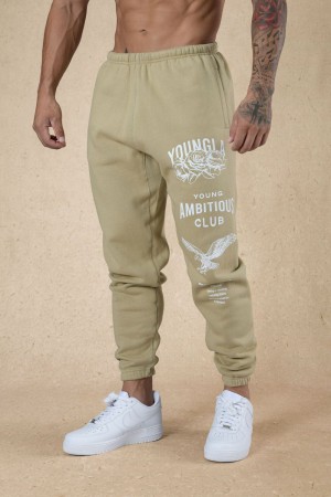 Young LA 233 The Immortal Joggers Beige Canada | TZLK-47861