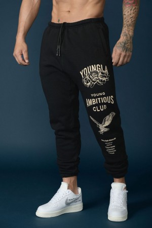 Young LA 233 The Immortal Joggers Black Canada | HVGE-45210