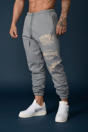 Young LA 233 The Immortal Joggers Light Grey Canada | KGJP-69503