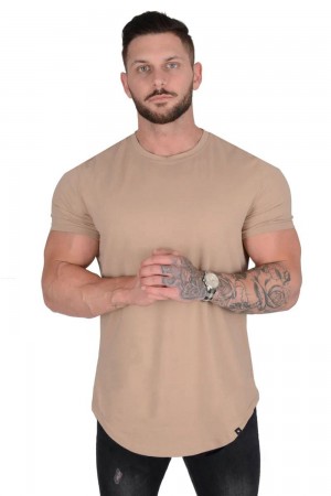 Young LA 402 Perfect Tee - Scallop Bottom Beige Canada | KDUP-34195