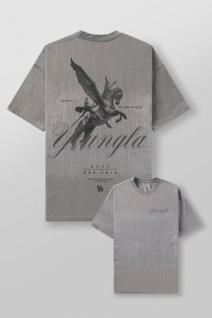 Young LA 4118 - Warrior Tees Grey Canada | FLYV-56034