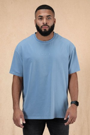 Young LA 420 Essential Oversized Tee Blue Canada | GQJI-23891