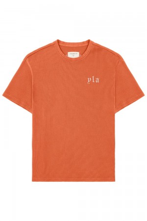 Young LA 427 Summer Waffle Tees Orange Canada | ZSYR-10687