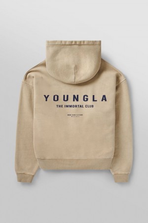 Young LA 533 - Immortal Club Hoodies Beige Canada | HIWD-63582