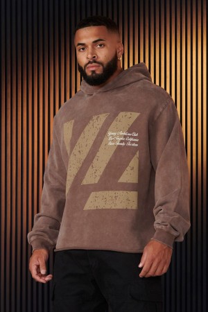 Young LA 568 - Icon Washed Hoodies Brown Canada | LNHW-69432