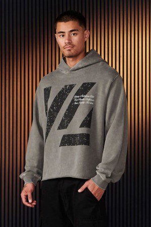 Young LA 568 - Icon Washed Hoodies Grey Canada | GAWH-14208