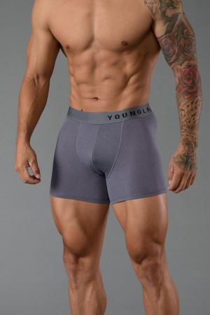 Young LA 703 Goat Briefs Grey Canada | TABU-23709