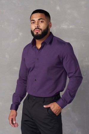 Young LA 803 - Formal Dress Shirts Purple Canada | OQTL-14830