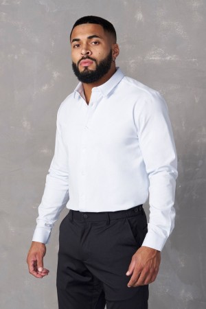 Young LA 803 - Formal Dress Shirts White Canada | BRDF-28614