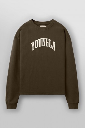 Young LA 826 - Uni Crewneck Brown Canada | SWAZ-42130