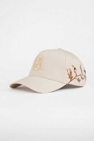 Young LA 918 La Branch Hats Beige Canada | CEIK-84702