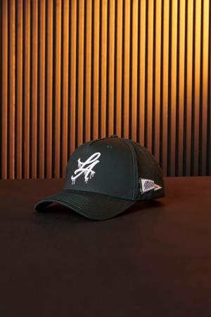 Young LA 924 - Drip Hats Teal Canada | AUEO-70634