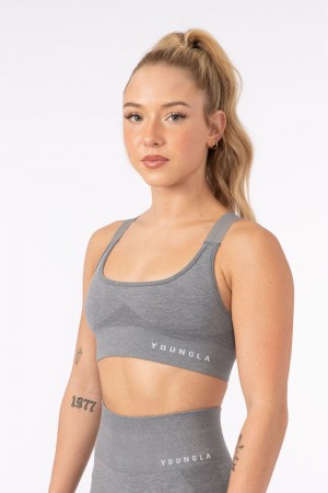 Young LA W308 Seamless Sports Bra Grey Canada | HRBD-39402