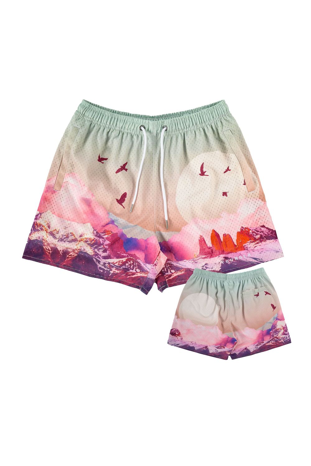 Young LA 141 The Block Party Shorts Multicolor Canada | WTSC-08594